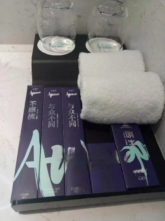 Xana Hotelle XiAn Gig Wild Goose Pagoda Branch