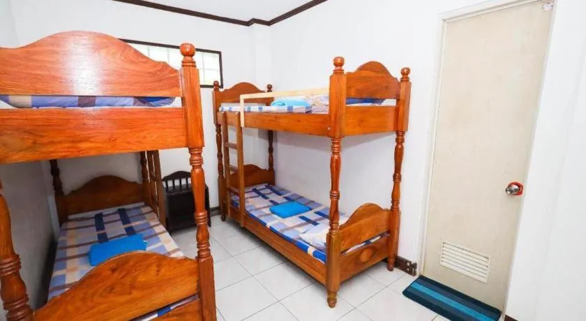 Bed in Mayon Backpackers Hostel