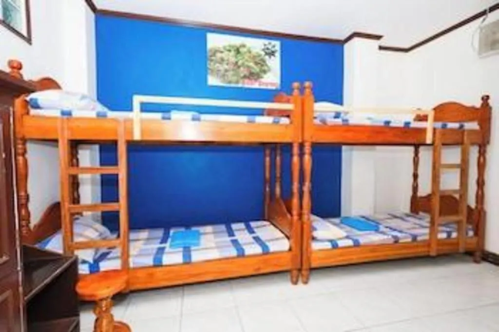 Bed in Mayon Backpackers Hostel