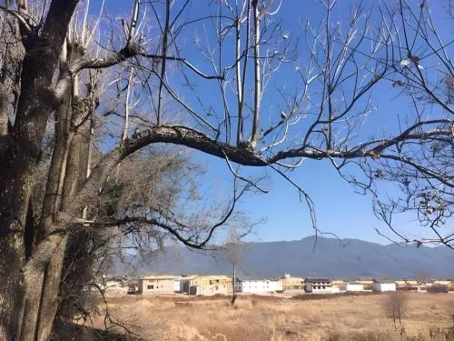 Lijiang Peach Hostel