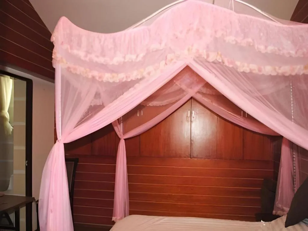 Bed in Lijiang Peach Hostel