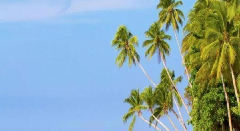 Asana Biak Papua Hotel