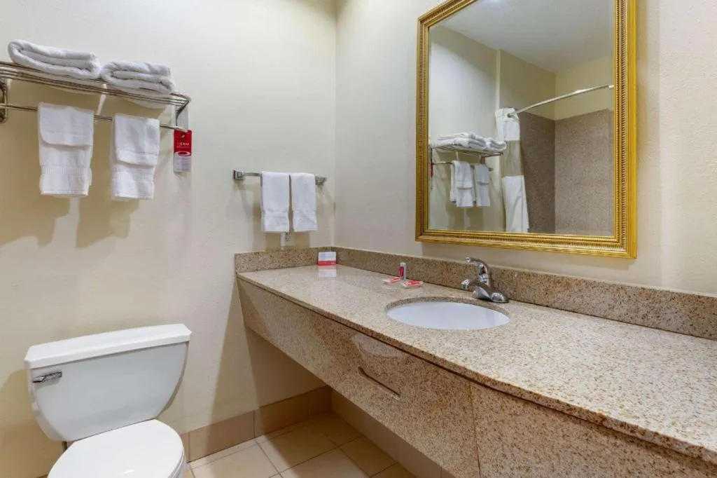 Econo Lodge Eutaw I-20