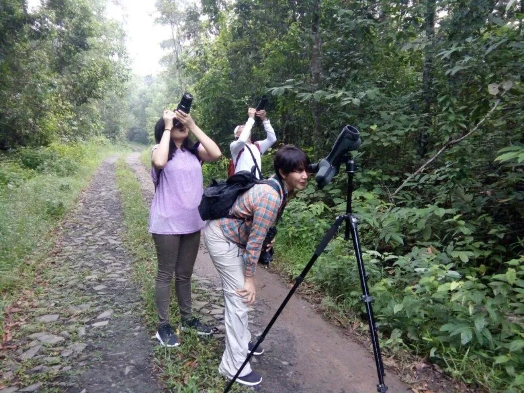 Satwa Elephant Eco Lodge