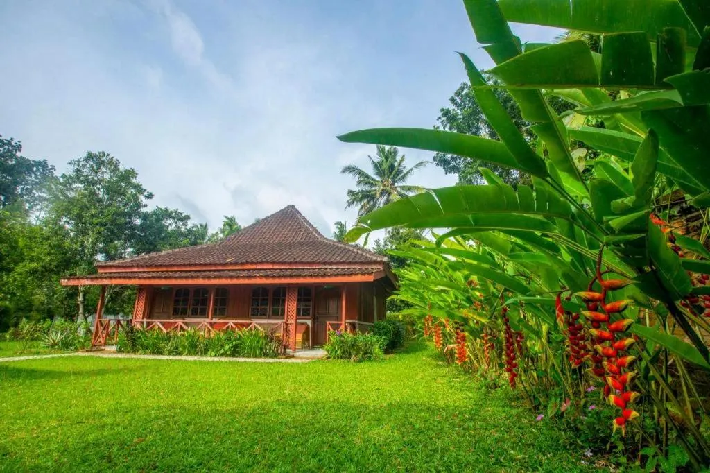 Satwa Elephant Eco Lodge