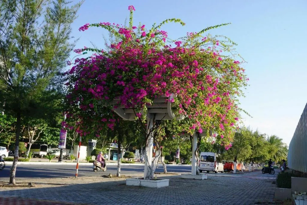 Ocean View Danang Hotel