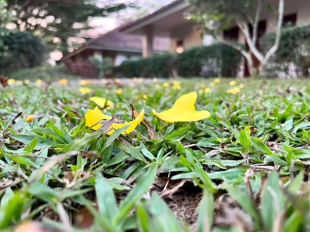 Baan Chuengkao Resort