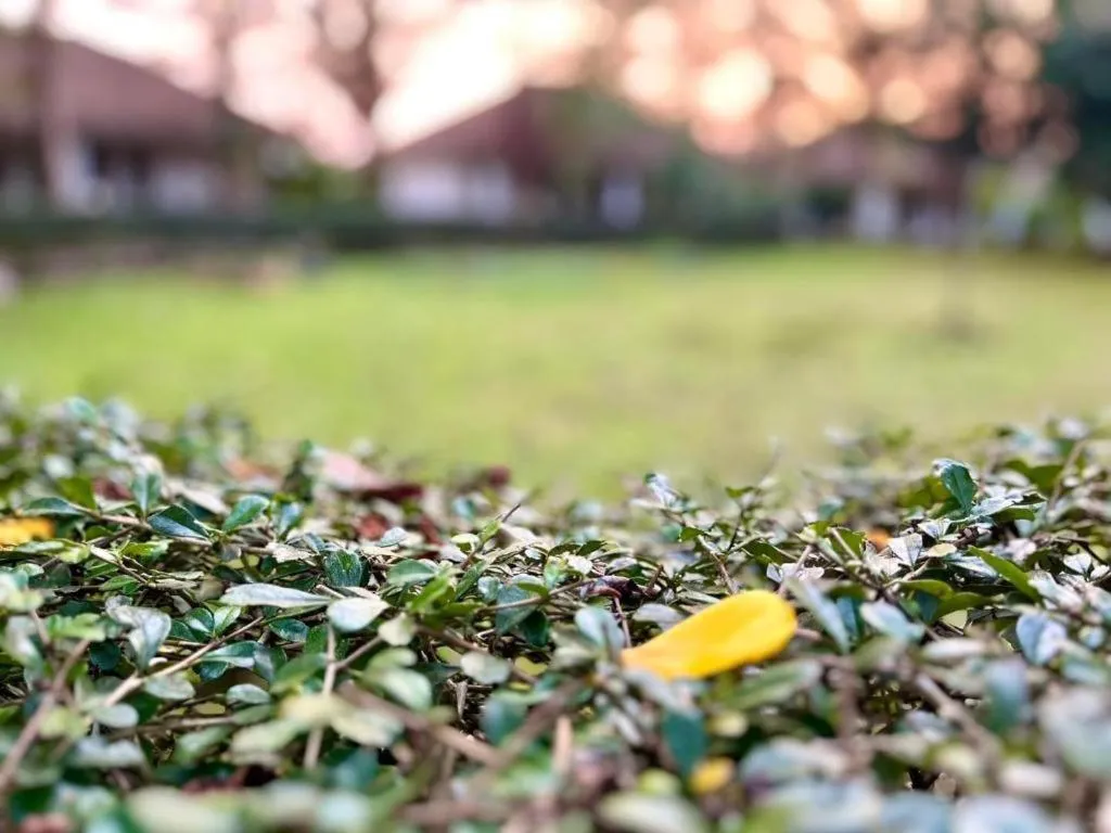 Baan Chuengkao Resort