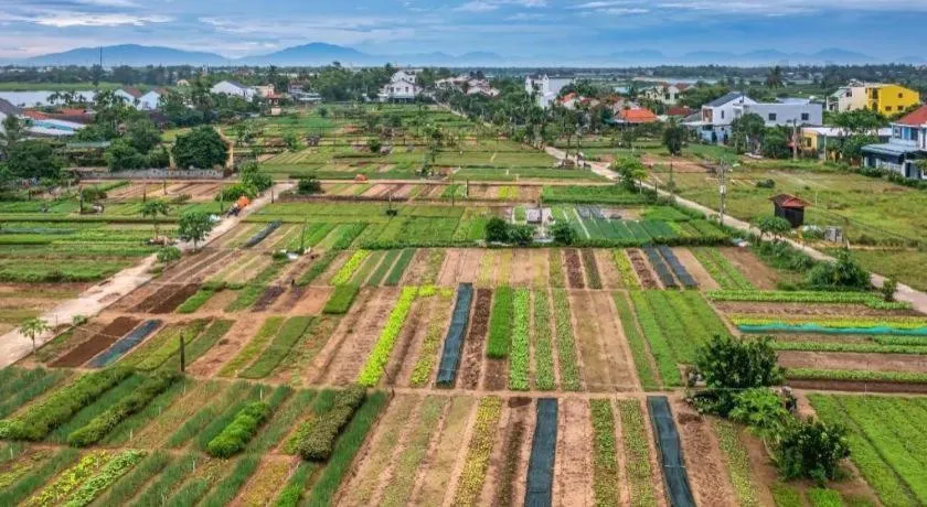 Bien Dao Homestay Hoi An