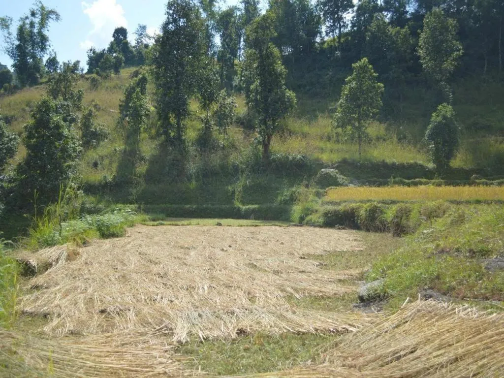 Mystique Highland Resort