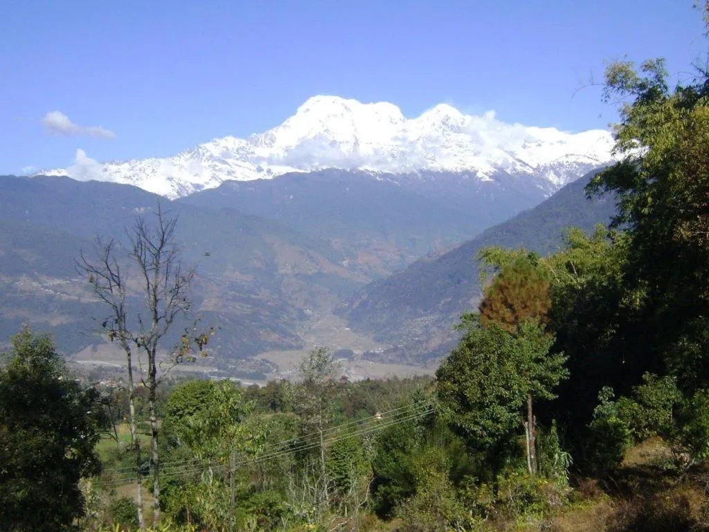 Mystique Highland Resort