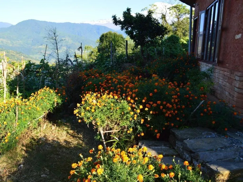 Mystique Highland Resort