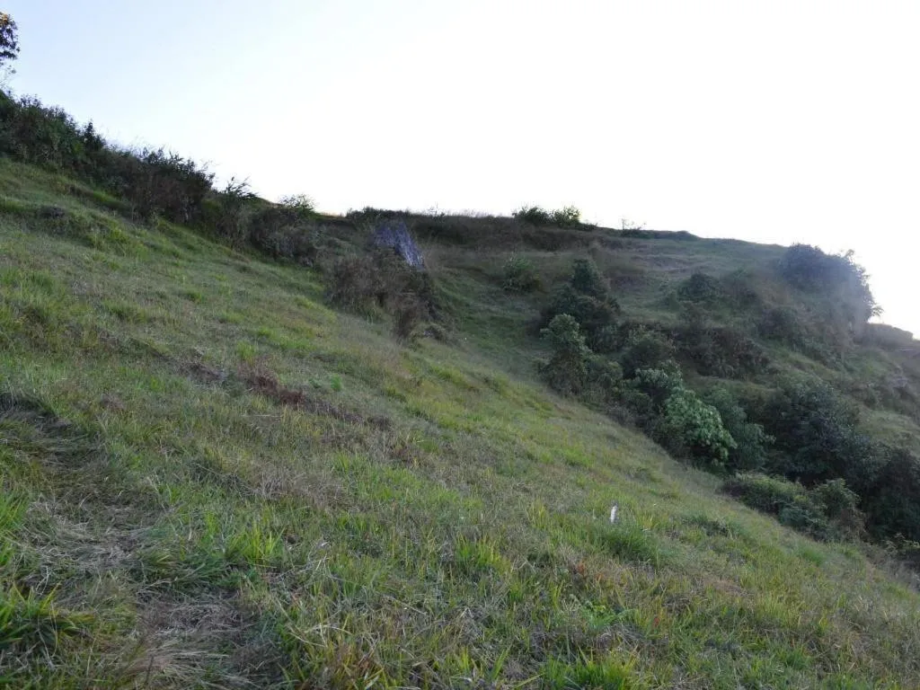 Mystique Highland Resort