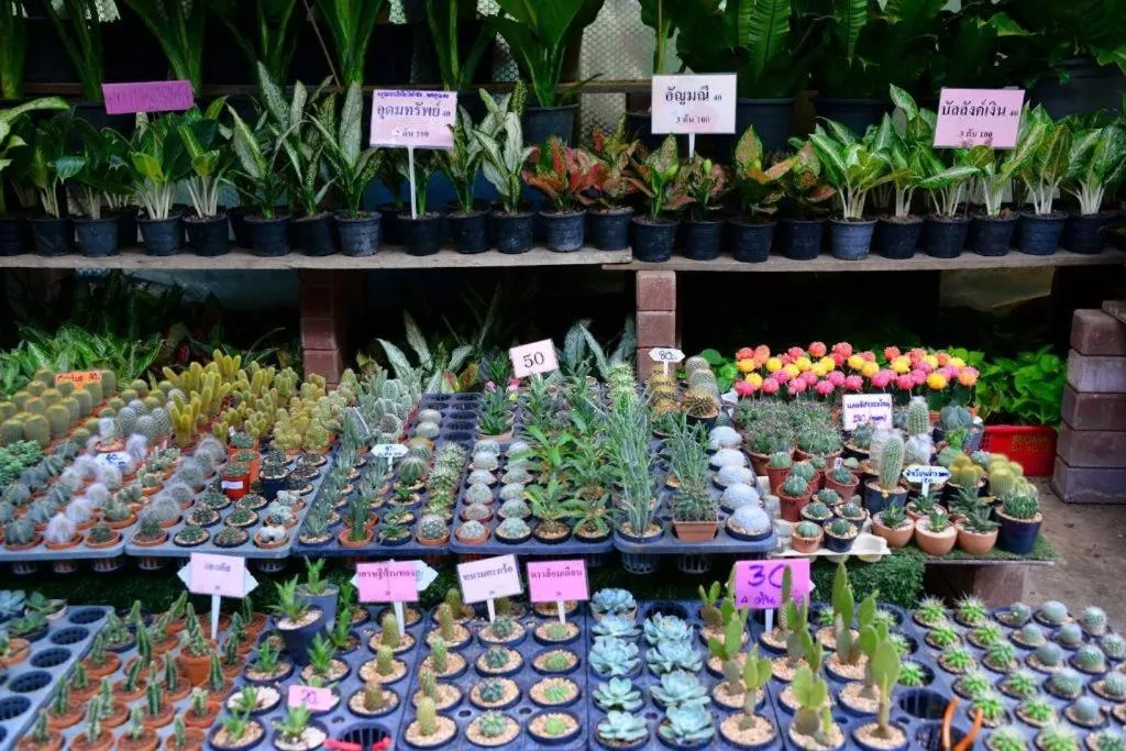 THE ALL 24 Luxury Residence