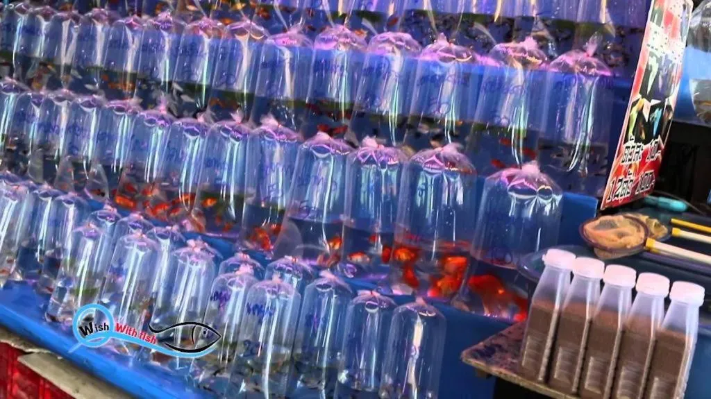 THE ALL 24 Luxury Residence