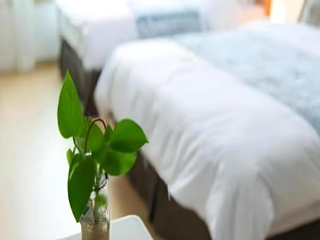 Bed in Swansea Resort