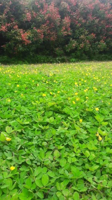 Jit Dee Home Khao Kho