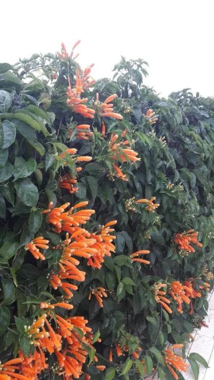 Jit Dee Home Khao Kho