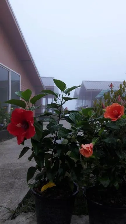 Jit Dee Home Khao Kho