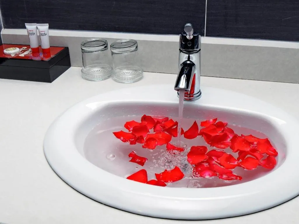 Begonia Nha Trang Hotel