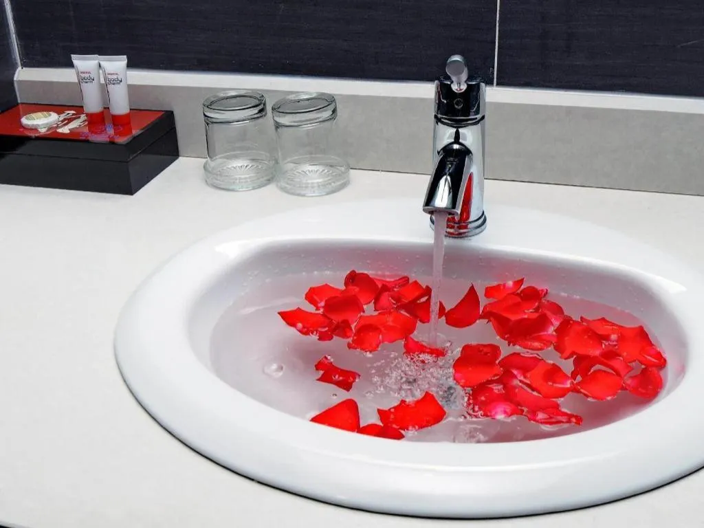 Begonia Nha Trang Hotel