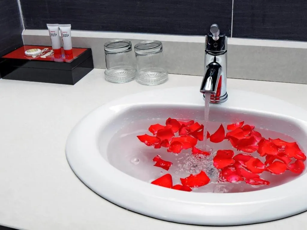 Begonia Nha Trang Hotel