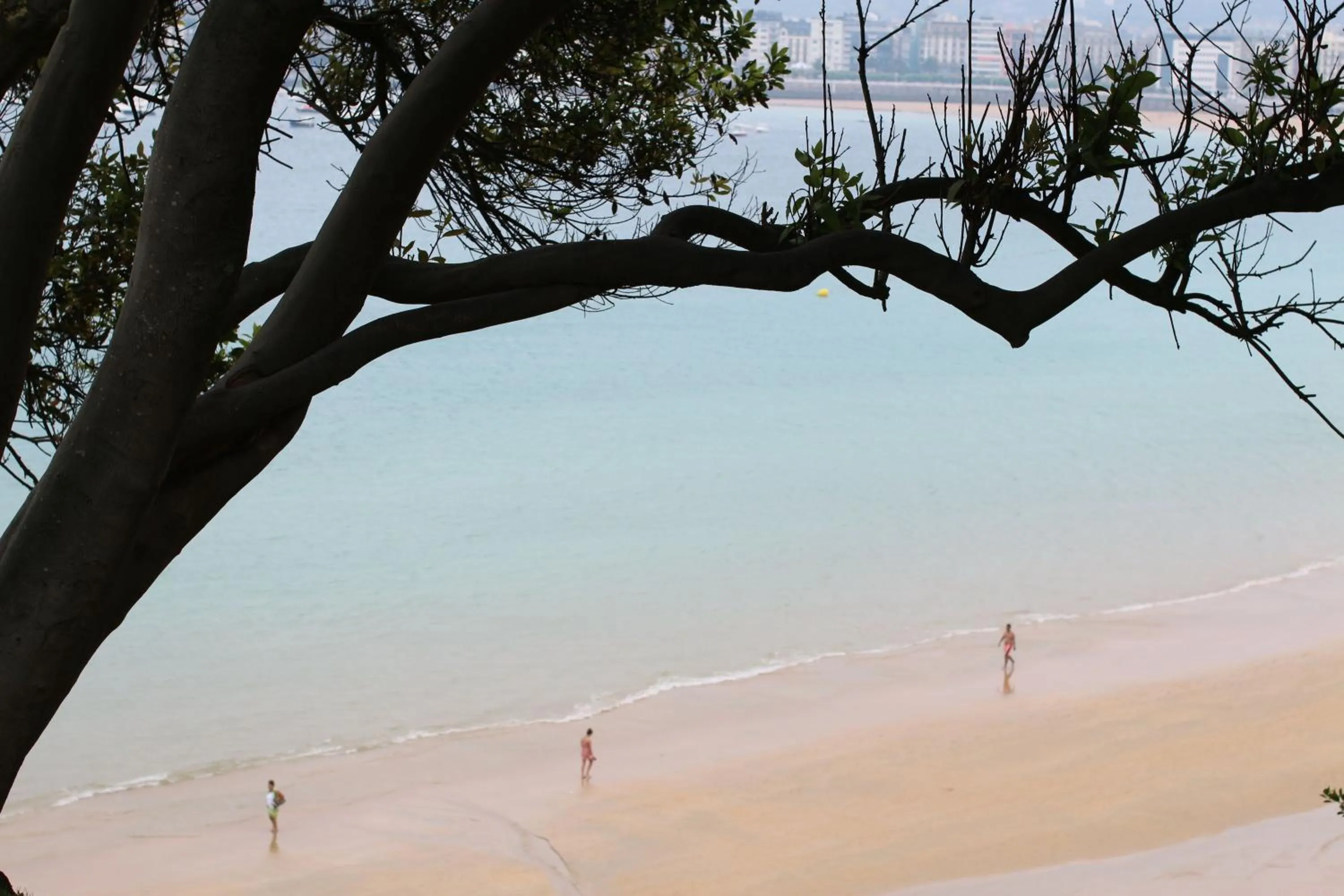 Concha Beach Apartment - SSHousing