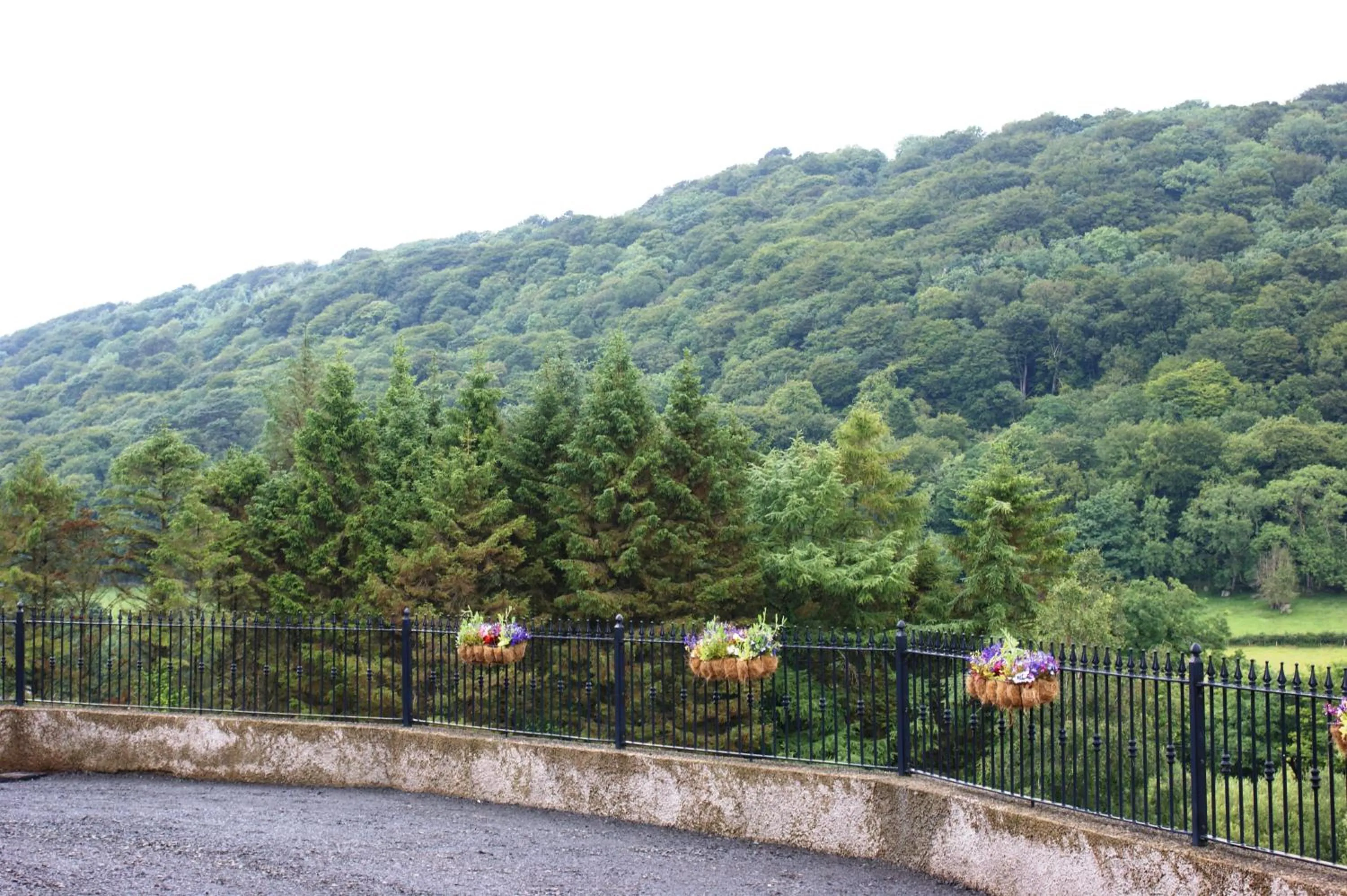 Summer in Glenn Eireann House