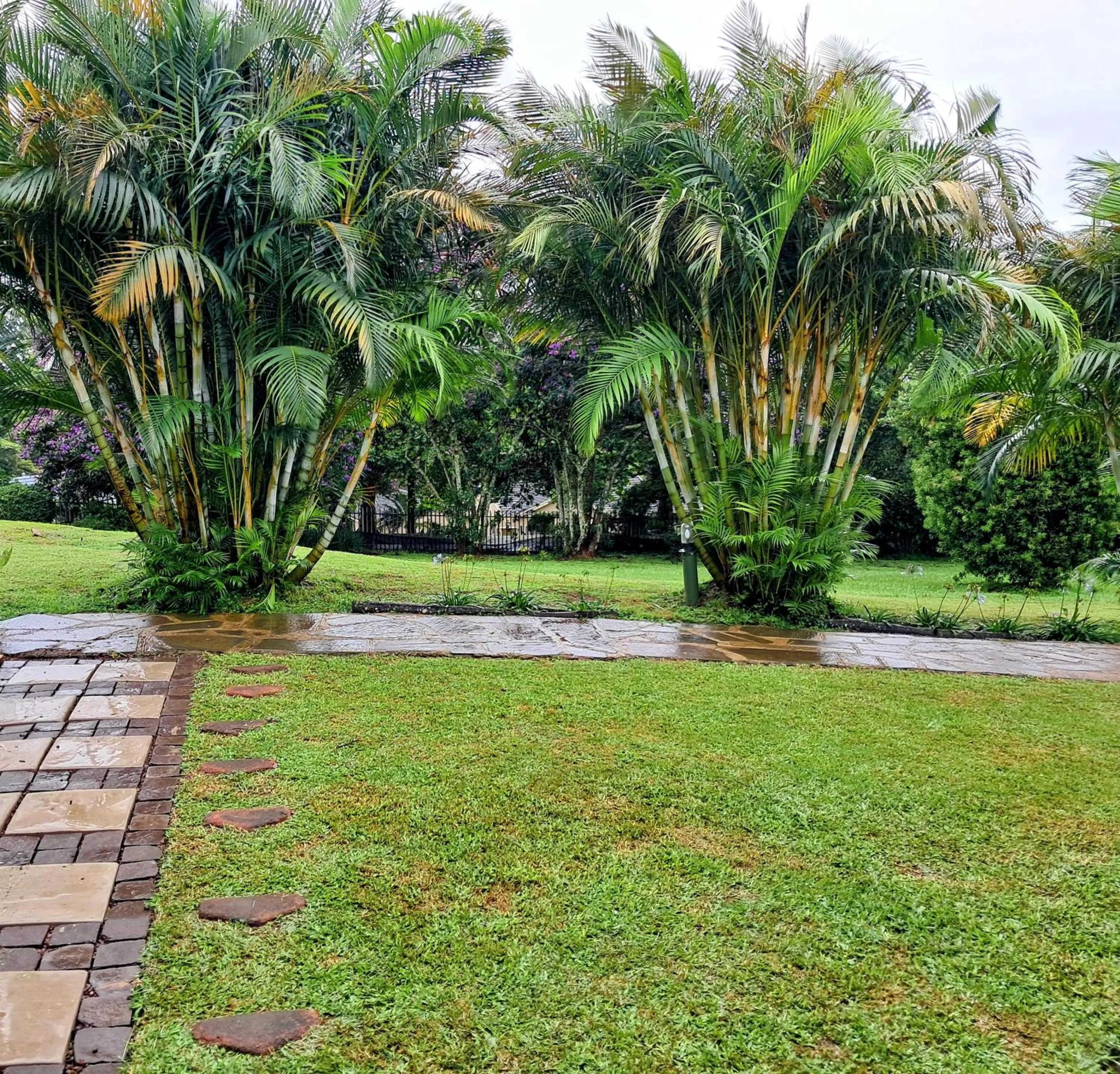 Garden view in 122 on Krantzview previously BizAfrika Guest Lodge