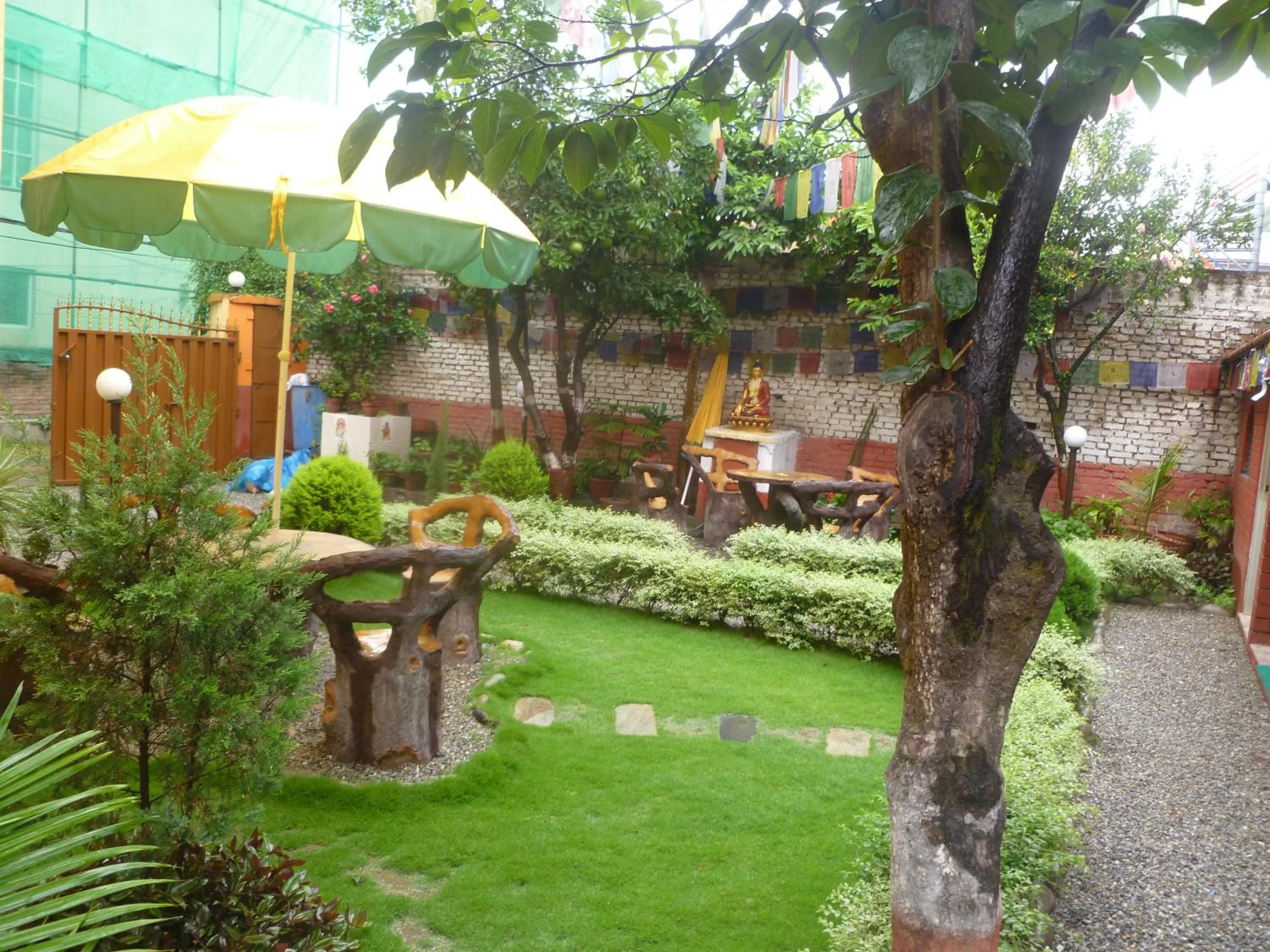 Garden in Andes House