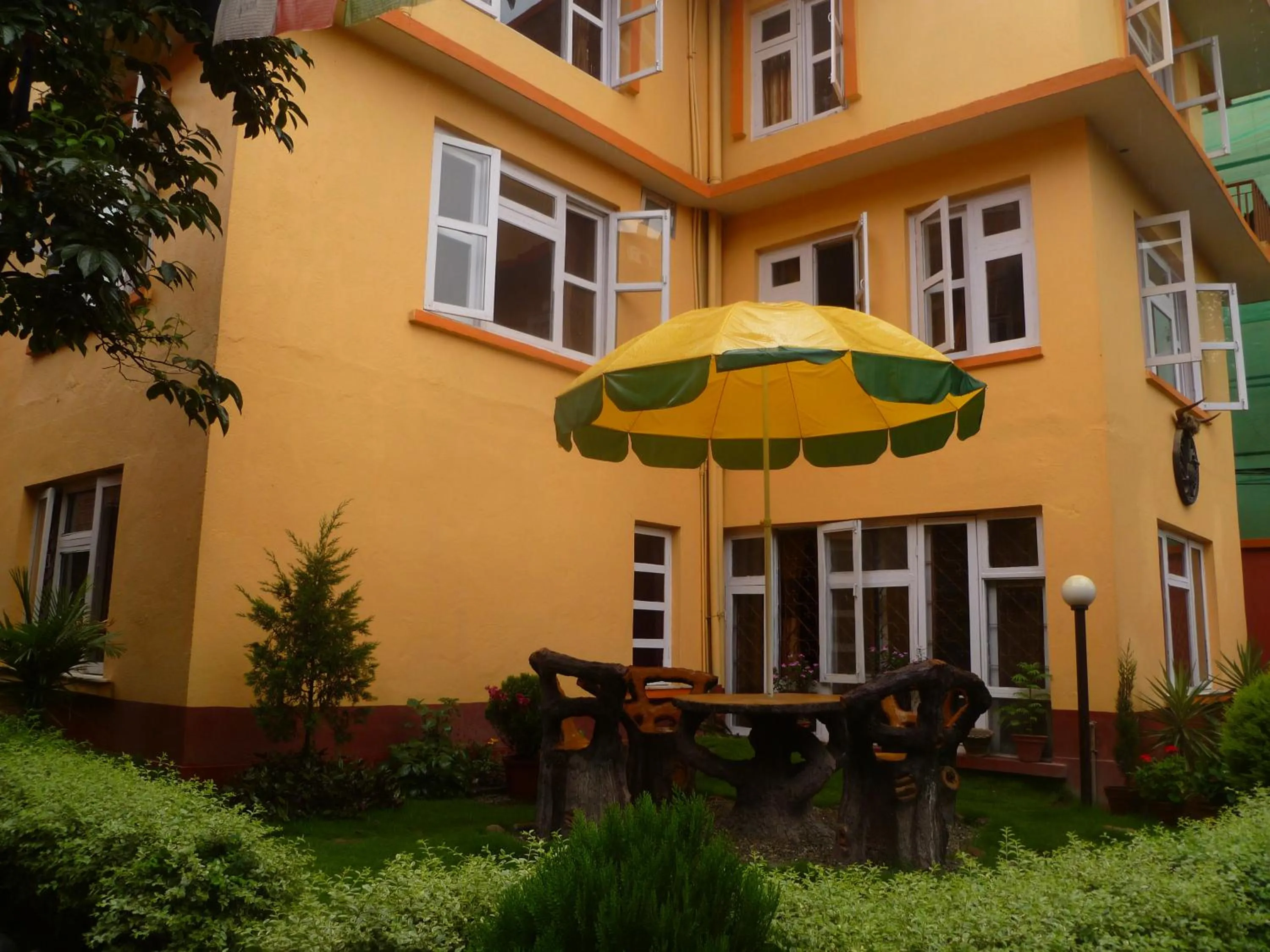 Garden in Andes House