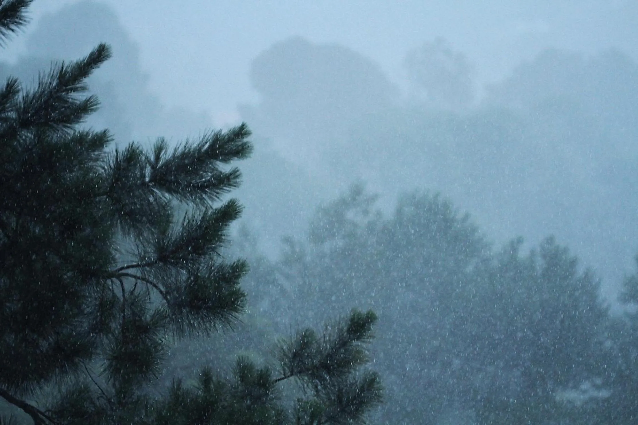 Garden view in Pousada Lá Bas