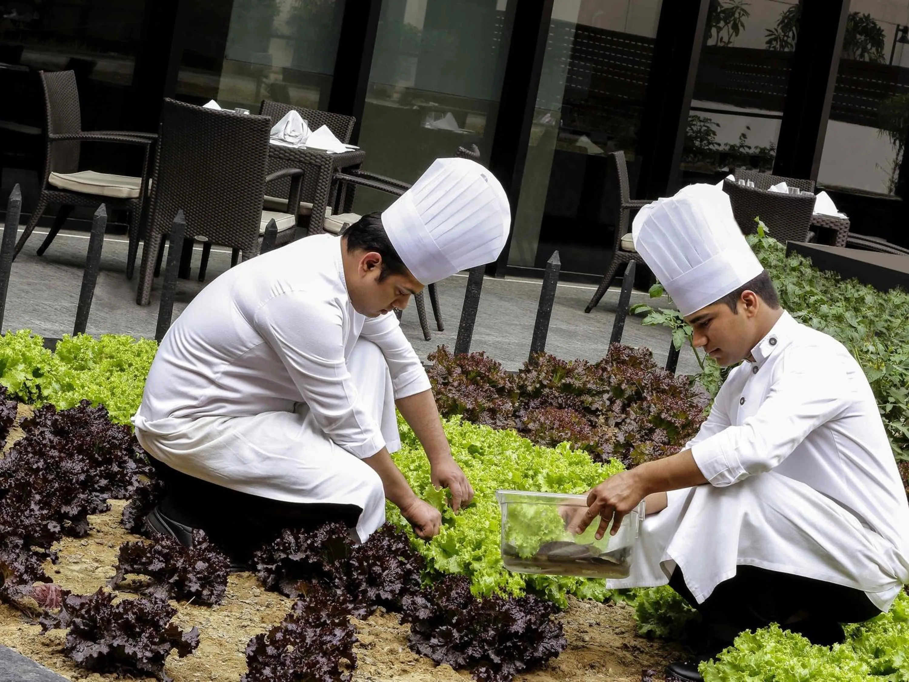 Other in Pullman New Delhi Aerocity