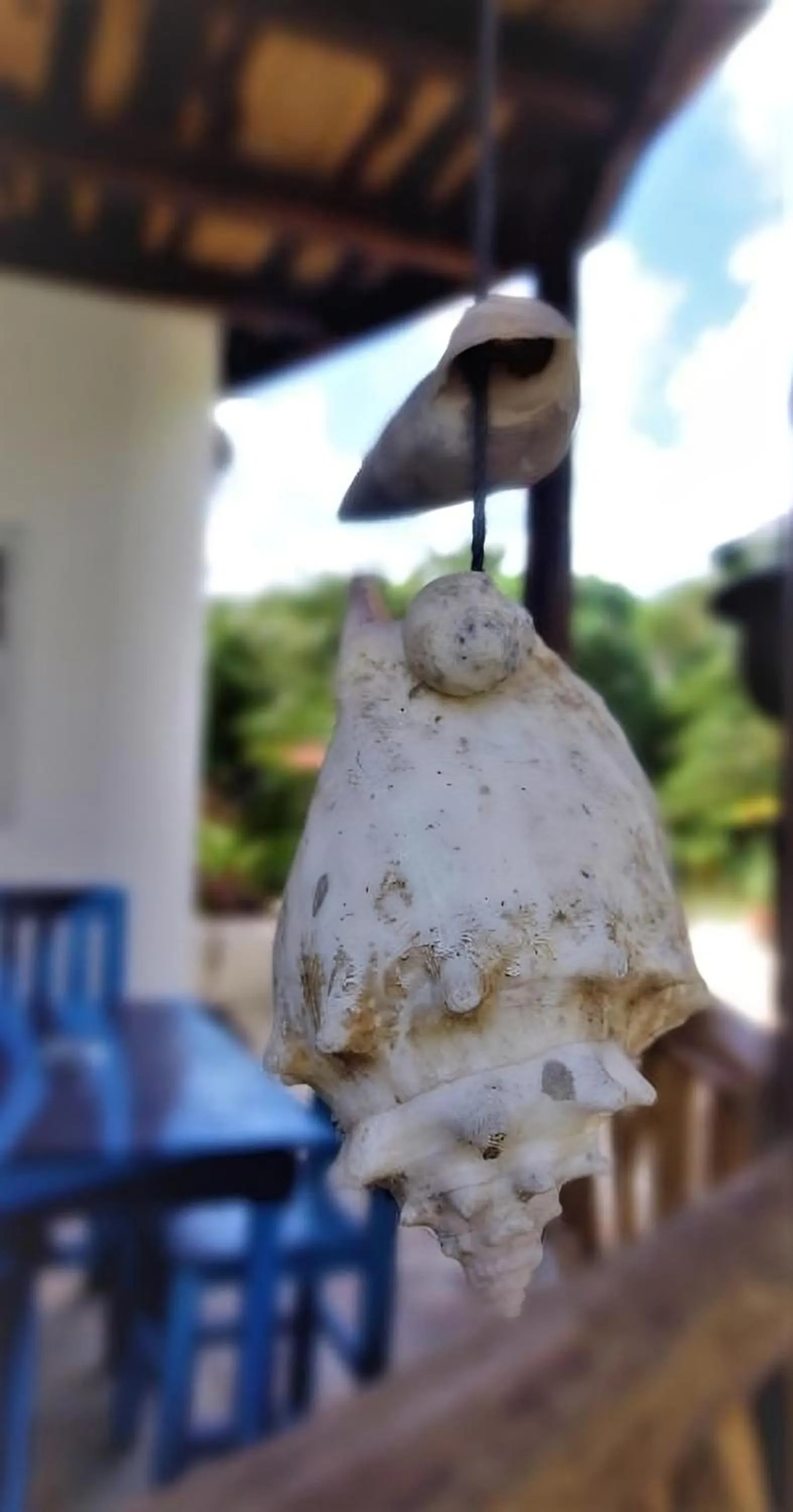 Patio in Zamunda Garden View