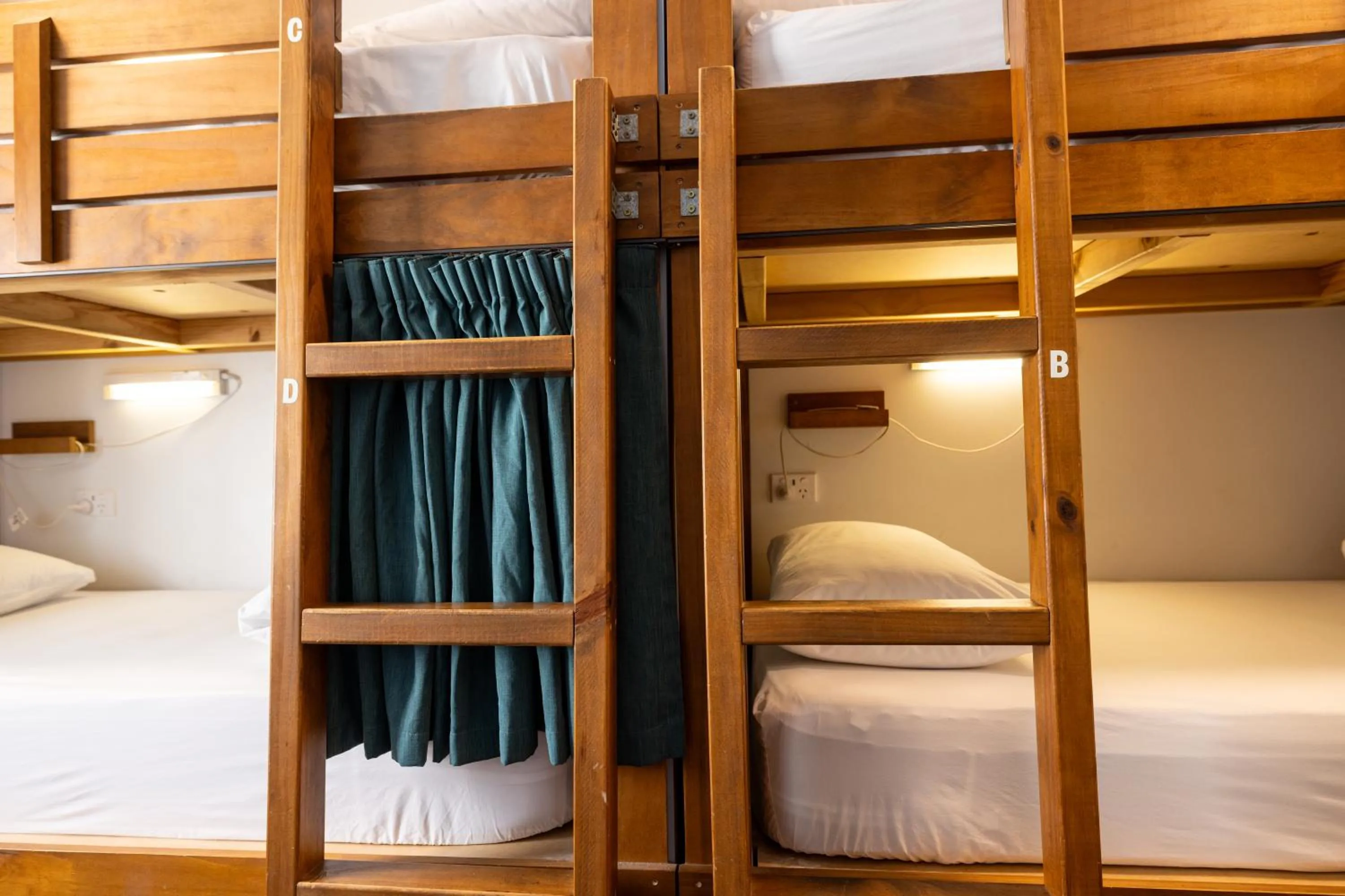bunk bed, Bed in Haka House Bay of Islands