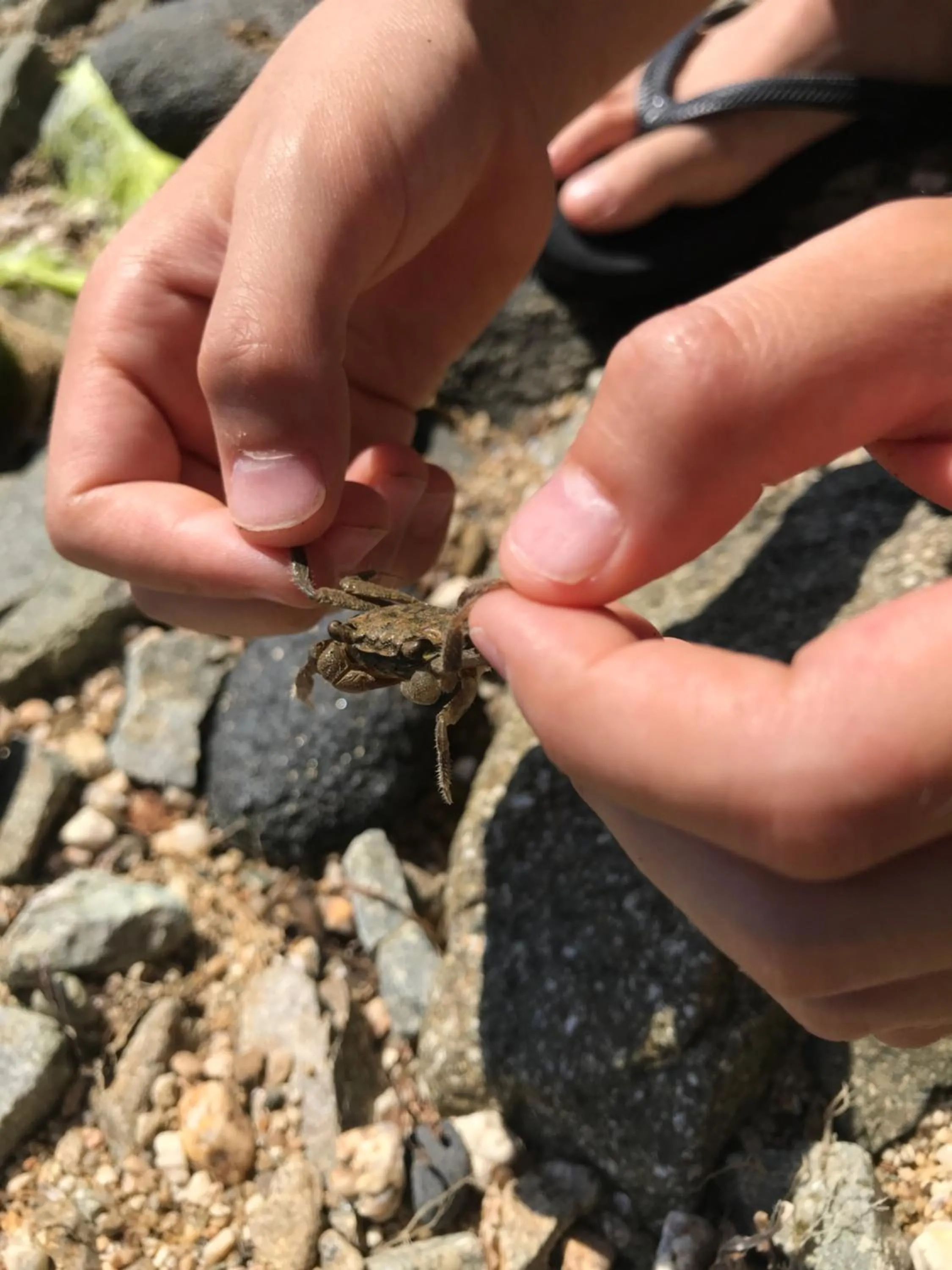 Spring in Shodoshima Olive Youth Hostel