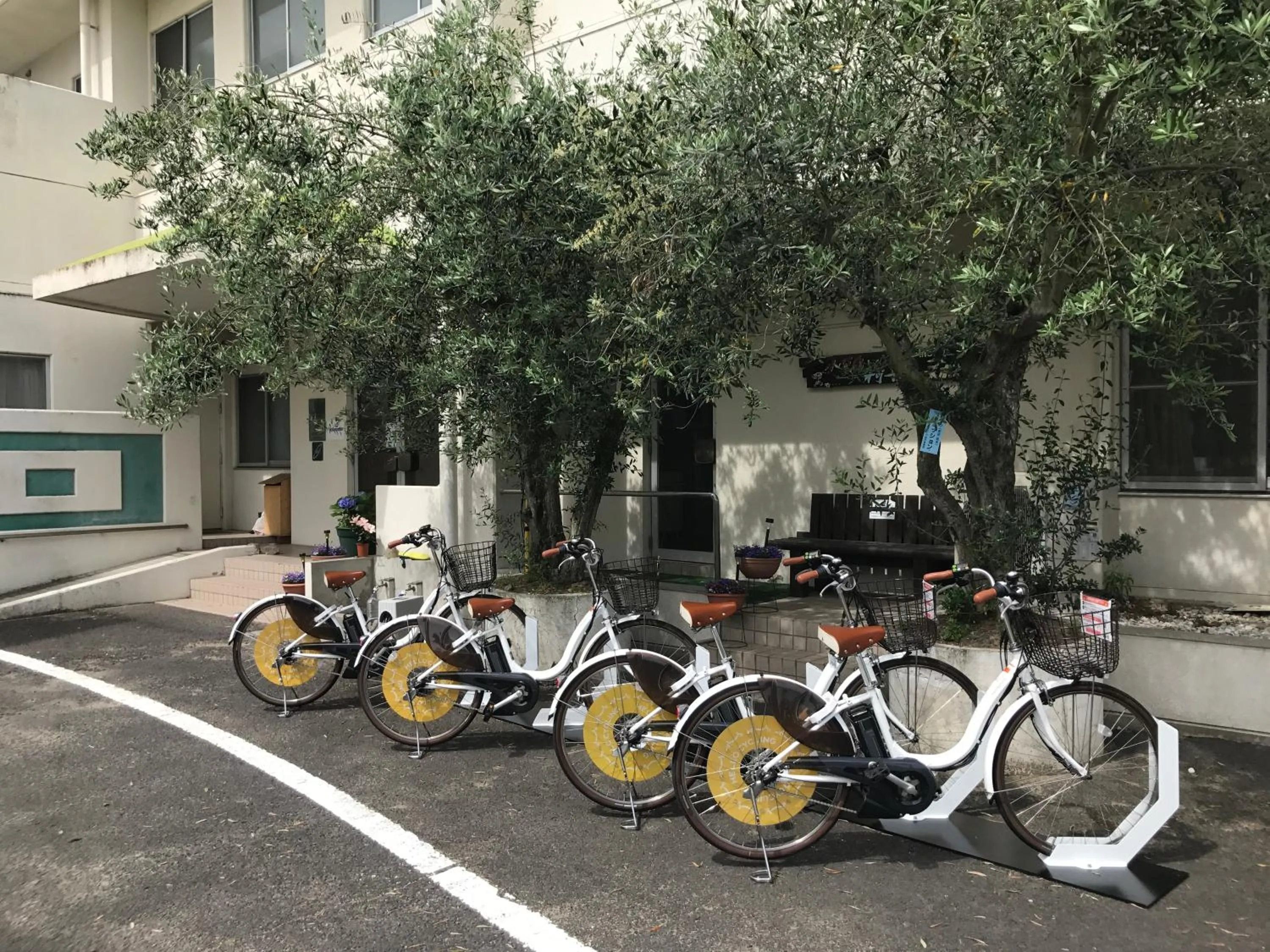 Cycling in Shodoshima Olive Youth Hostel