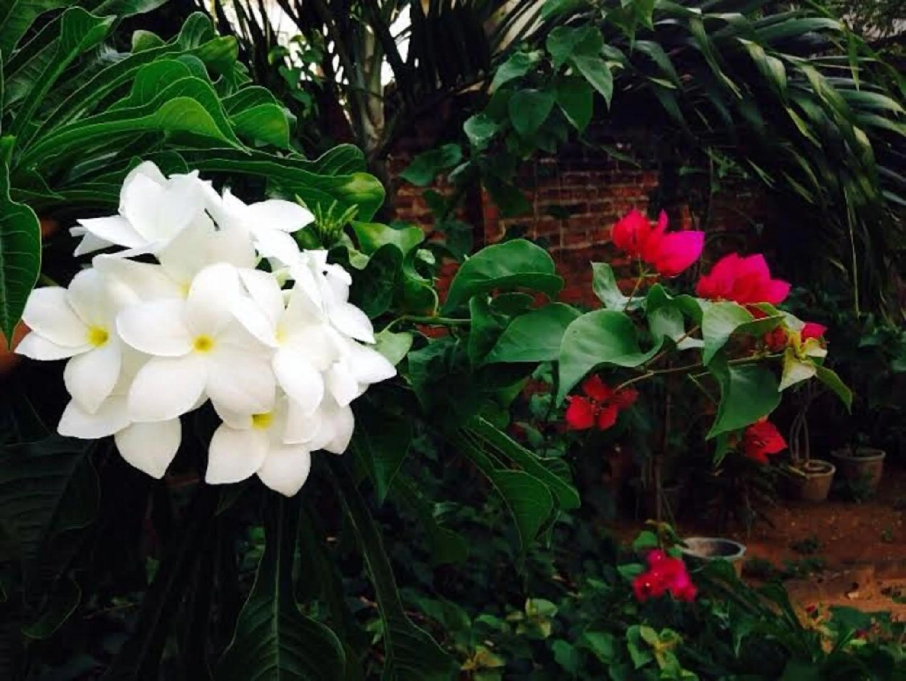Garden view in Janishi Residencies