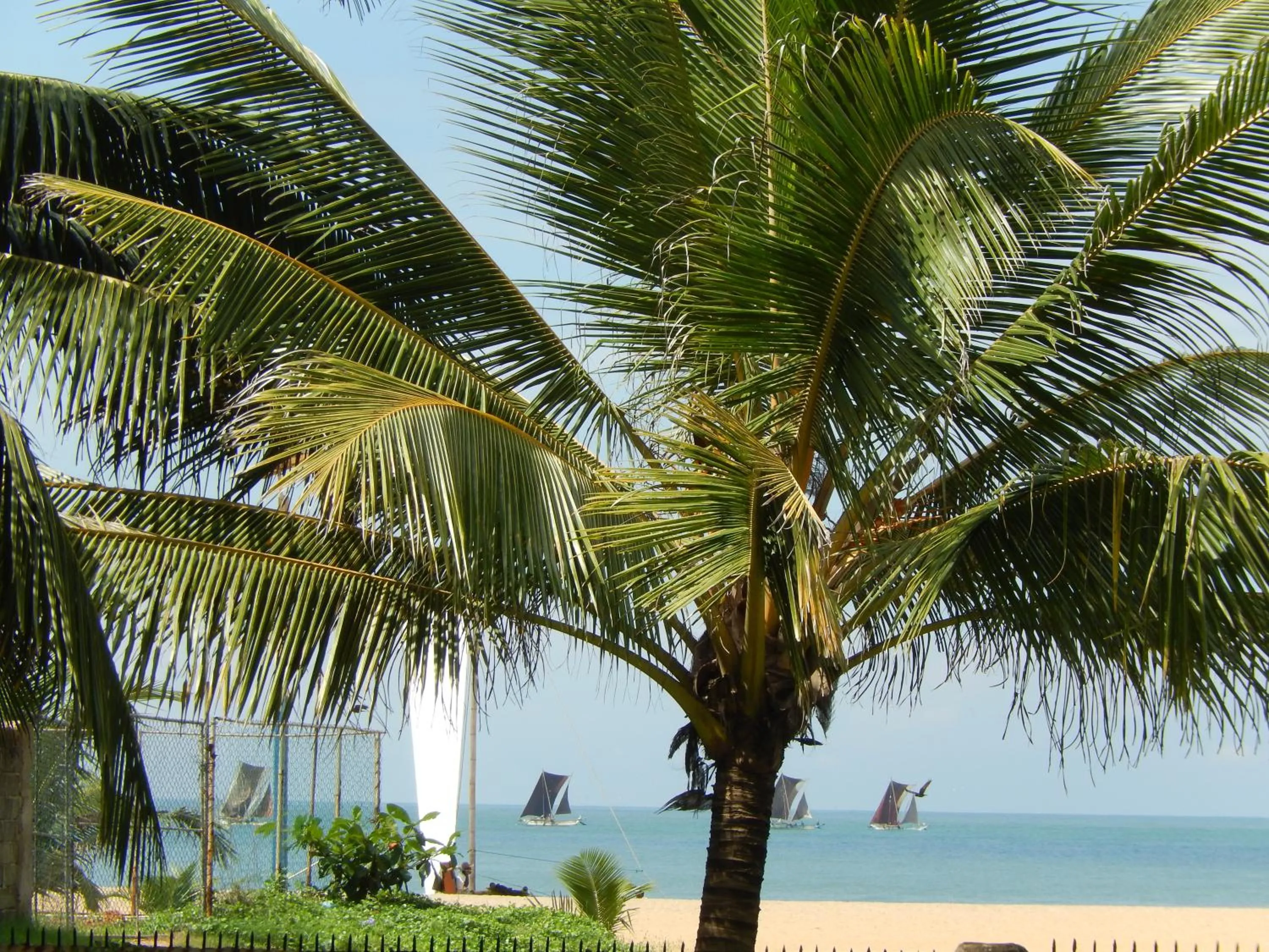 Beach in Janishi Residencies