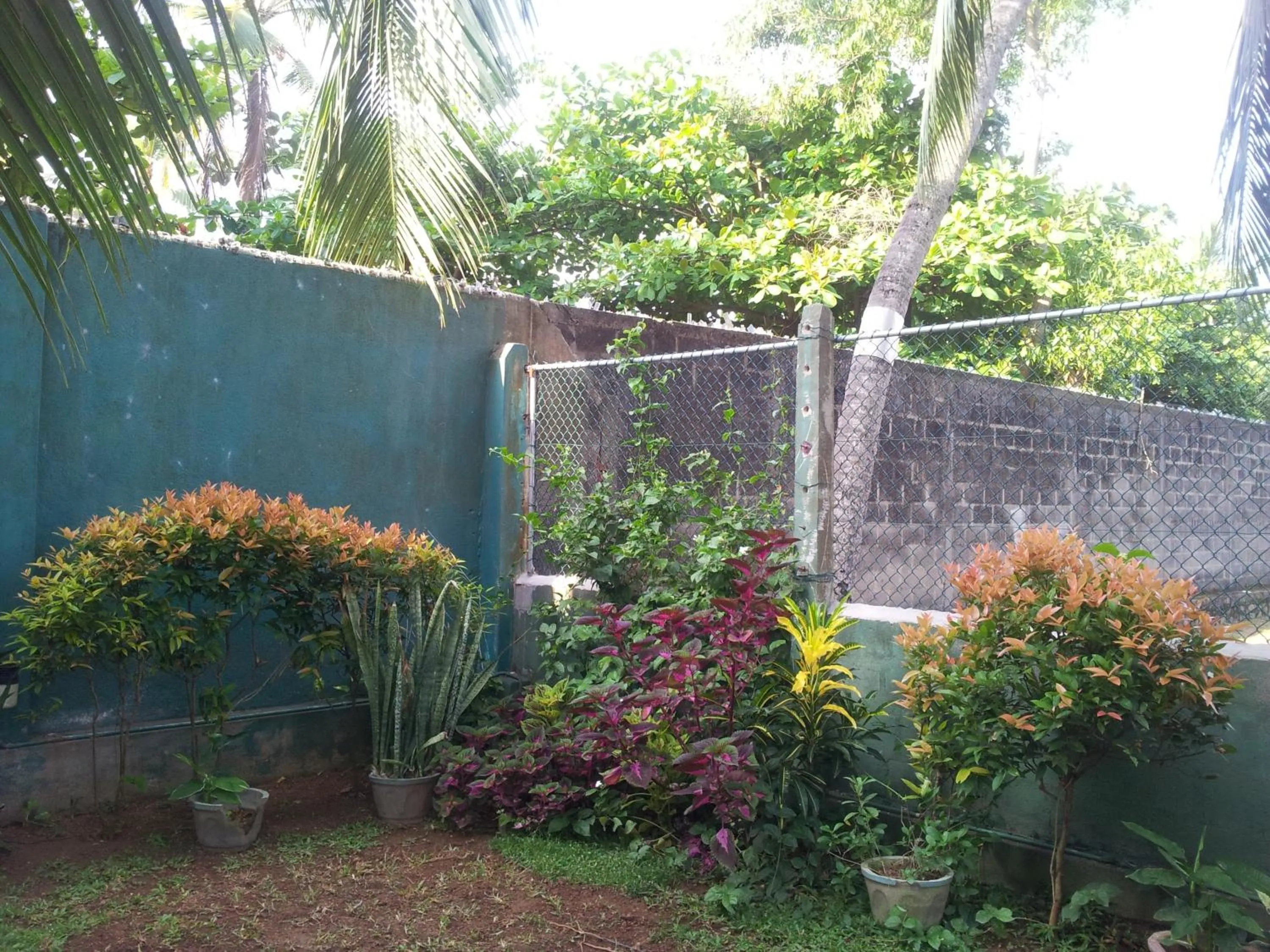 Garden in Janishi Residencies