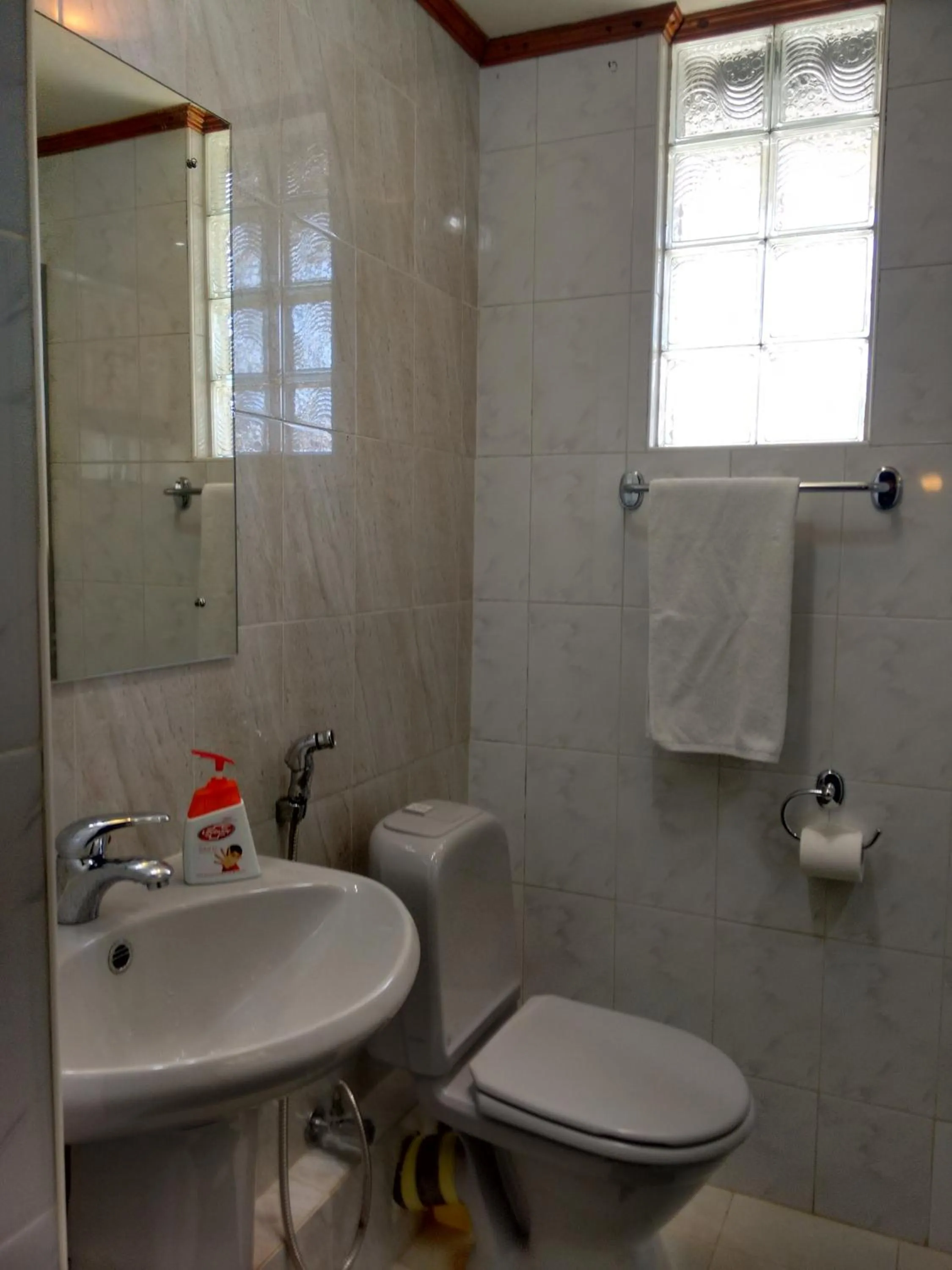 Bathroom in Janishi Residencies