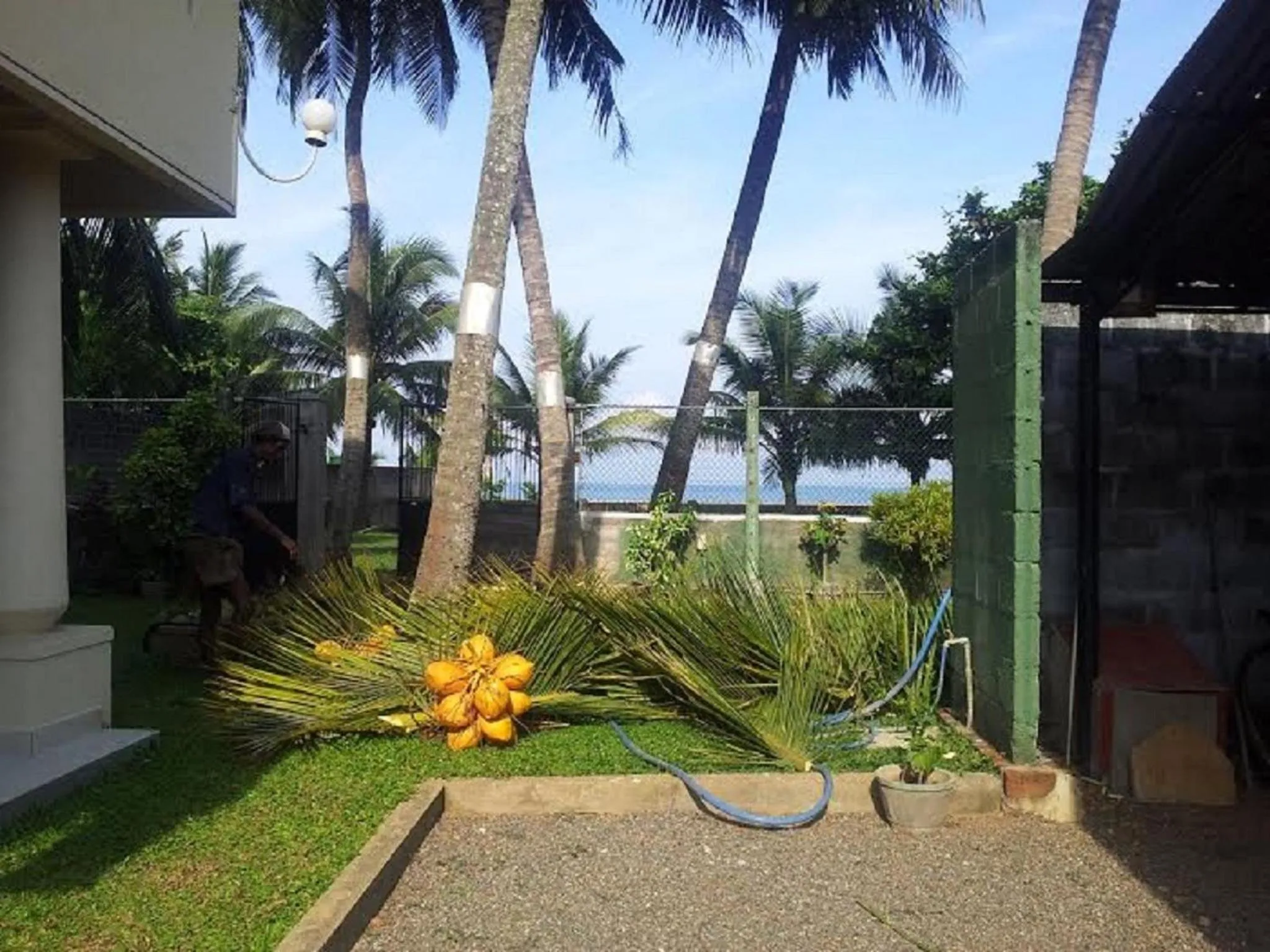 Garden in Janishi Residencies