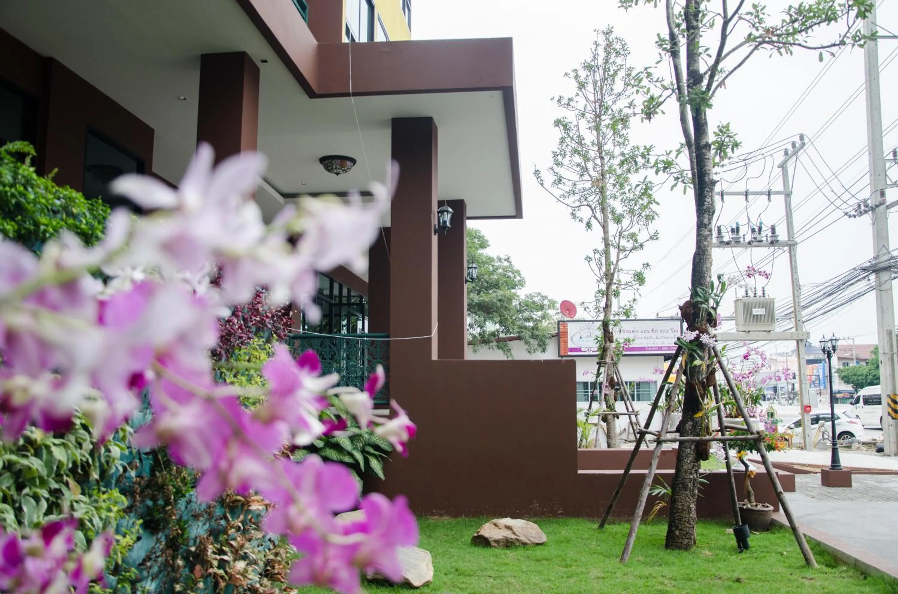 Other in The Sun Terrace