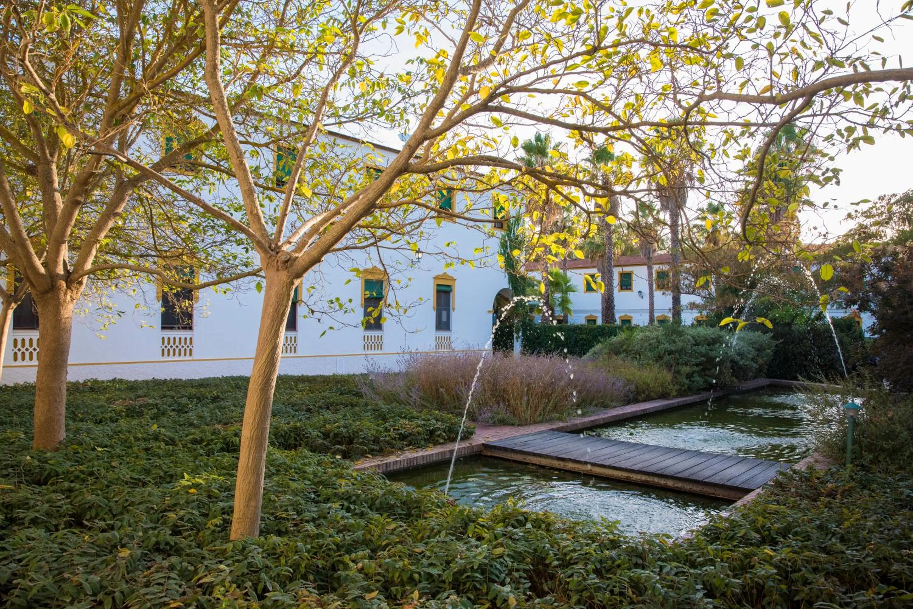 Garden in Hotel Balneario El Raposo