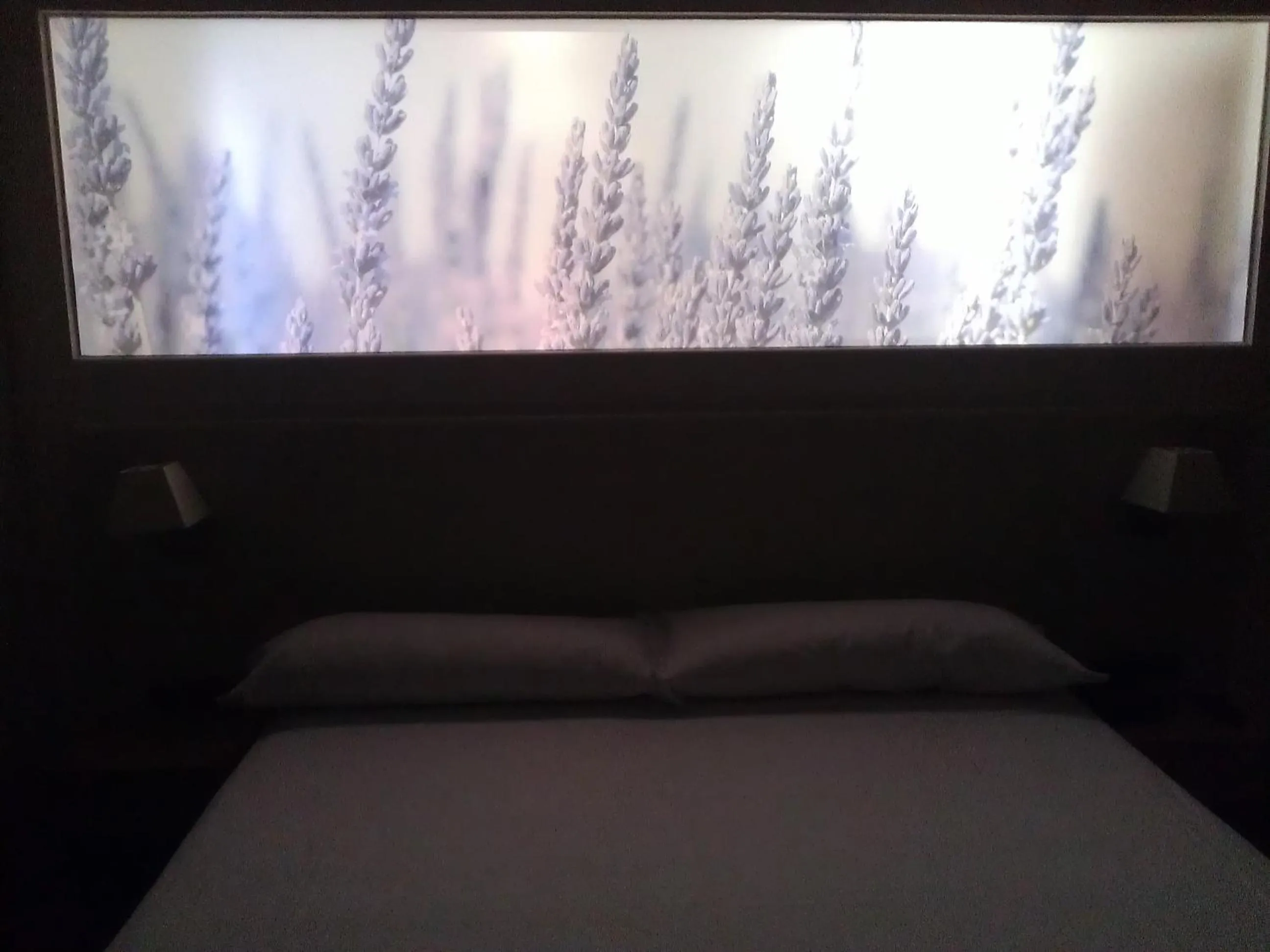 Decorative detail, Bed in Hotel Balneario El Raposo