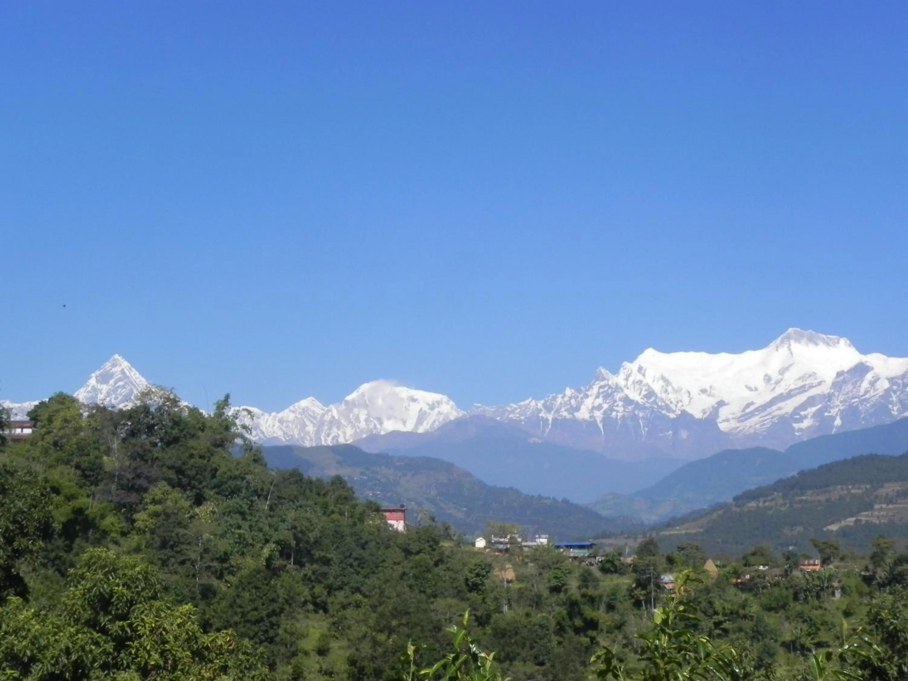 Area and facilities in Rupa View Guest house