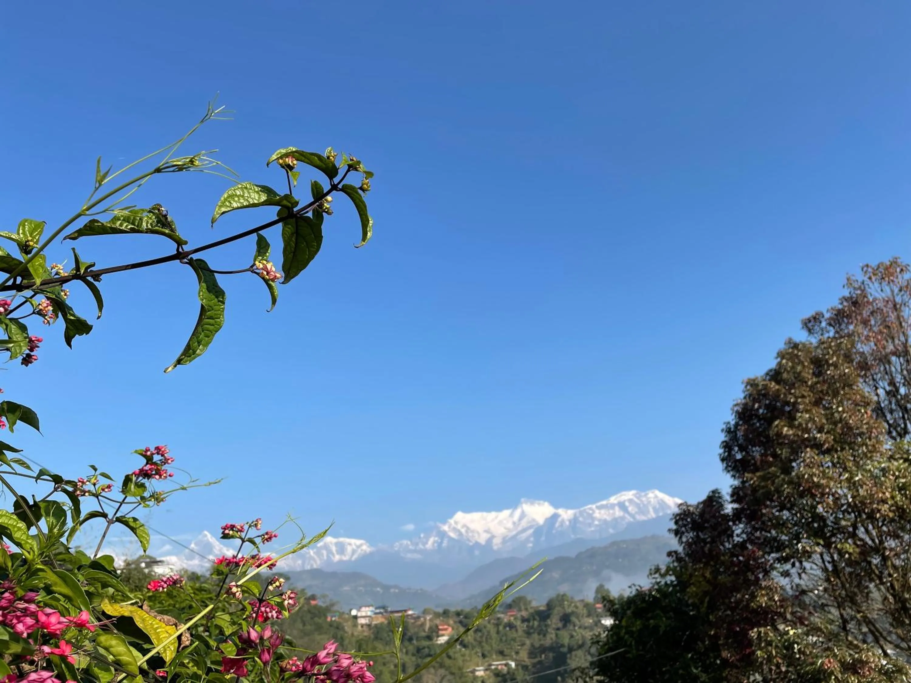 Rupa View Guest house