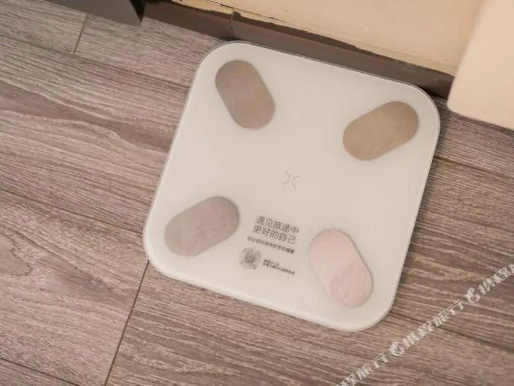 Ibis Shanghai Expo Dongming Road Metro Station