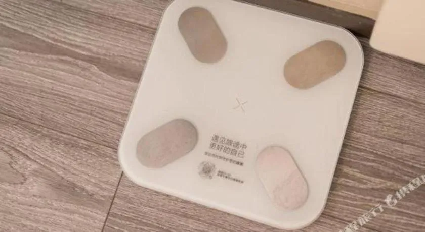 Ibis Shanghai Expo Dongming Road Metro Station