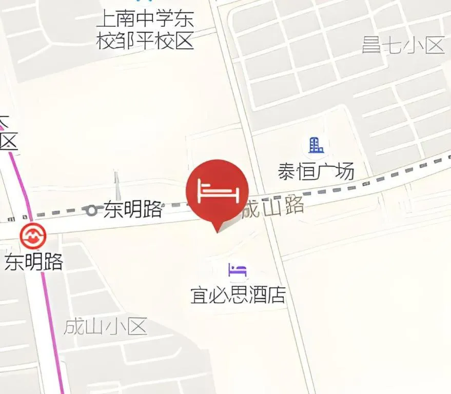 Ibis Shanghai Expo Dongming Road Metro Station